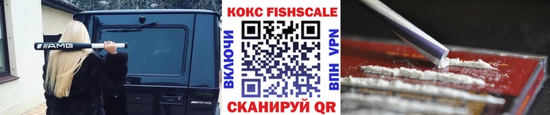 COCAIN Fish Scale  купить наркотики сайты  OMG ссылка  Судогда 