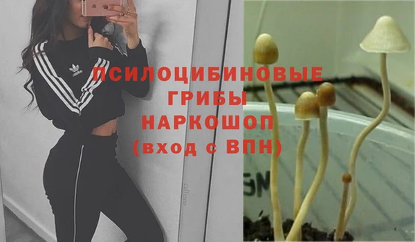 трава Магадан