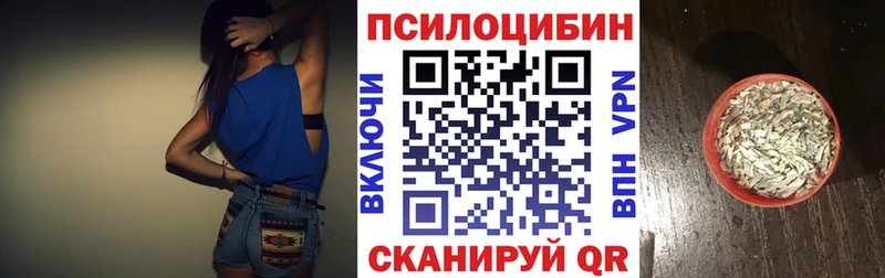 Псилоцибиновые грибы мицелий Судогда