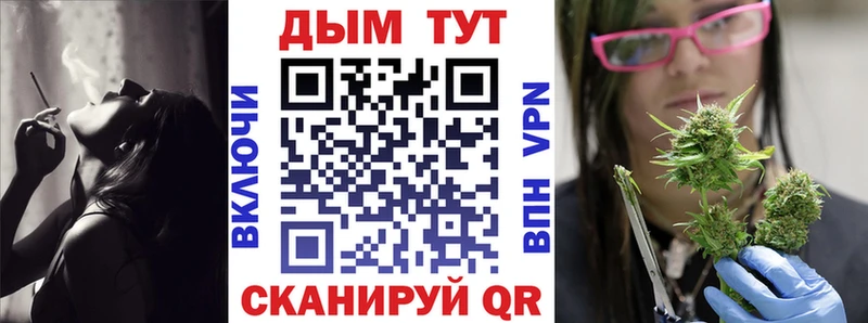 купить наркотик Судогда Каннабис конопля